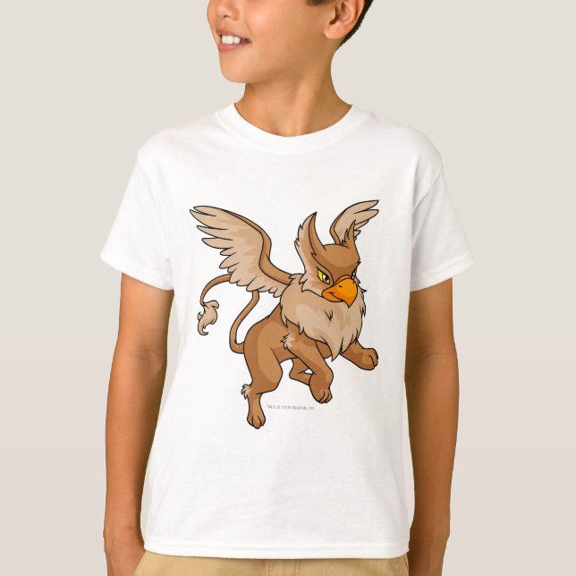 Camiseta Eyrie Brown (Anverso)