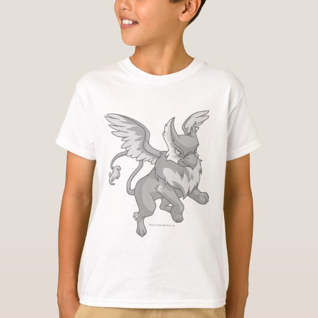 Camiseta Eyrie Silver (Anverso)