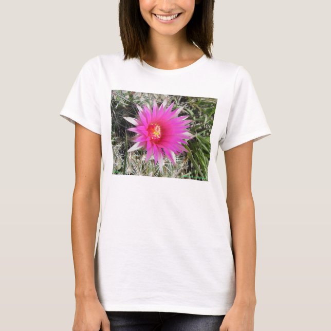 Camiseta F12 Flor de cactus de bolas "Escobaria vivipara" (Anverso)