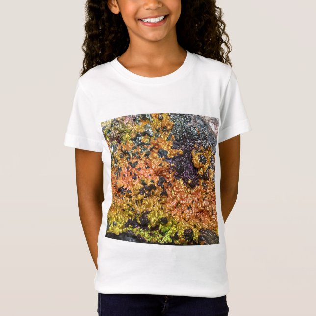 Camiseta Falln Rusty Sunset Stones (Anverso)
