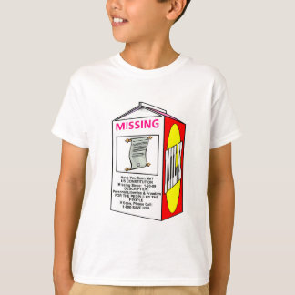 Camiseta Falta: CONSTITUCIÓN ESTADOUNIDENSE