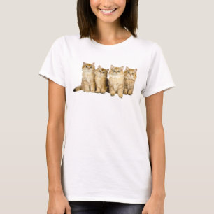 Camiseta Familia Cute Kittens