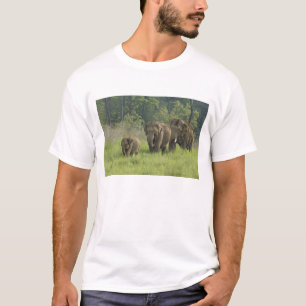 Camiseta Familia de elefantes indios