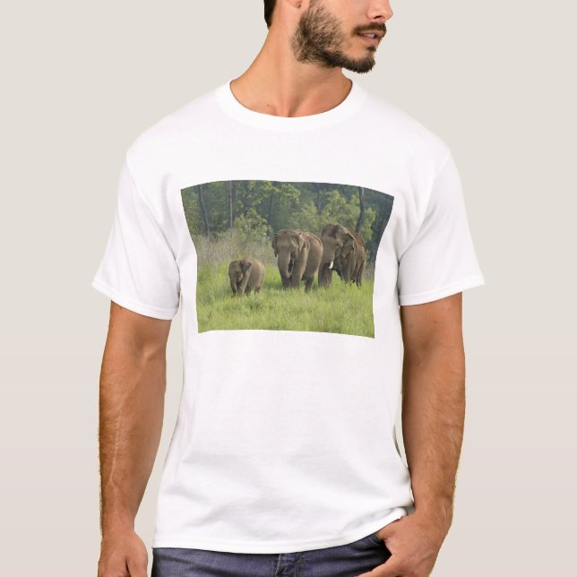 Camiseta Familia de elefantes indios (Anverso)