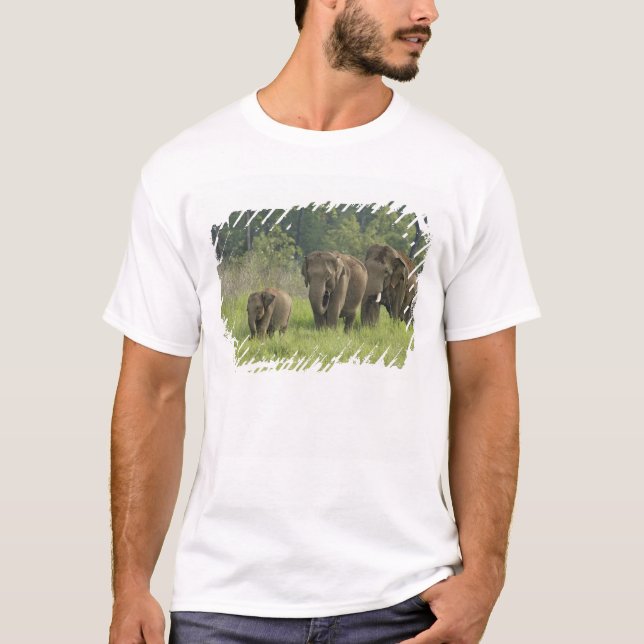 Camiseta Familia de elefantes indios (Anverso)