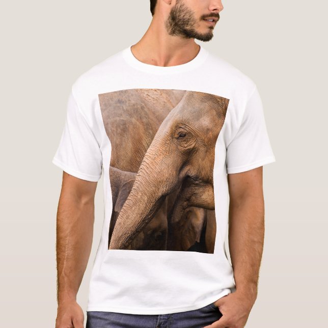 Camiseta Familia Elefante: Vida silvestre majestuosa (Anverso)