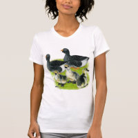 Familia Toulouse Goose