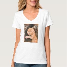 Camiseta Family Is Everything, Kitten T-Shirt