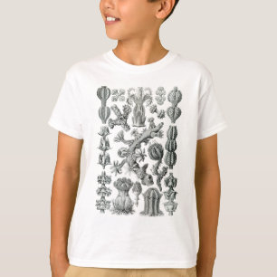 Camiseta Fans de mar
