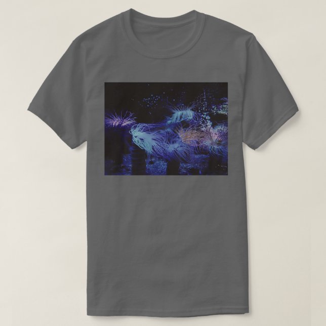 Camiseta Fantasia (Diseño del anverso)
