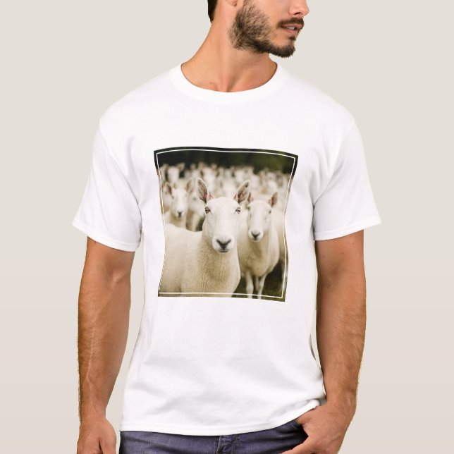 Camiseta Farms | Herd of Sheep (Anverso)