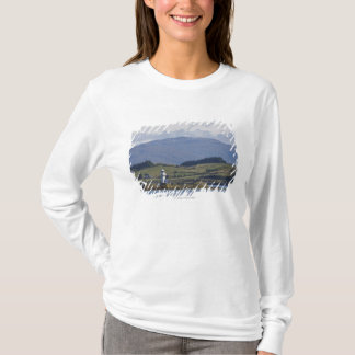 Camiseta Faro de Rhue