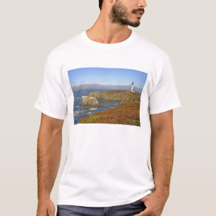 Camiseta Faro de Yaquina Head en Newport Oregon