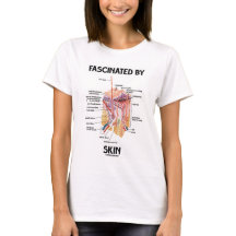 Fascinado por la piel (capas de la piel)