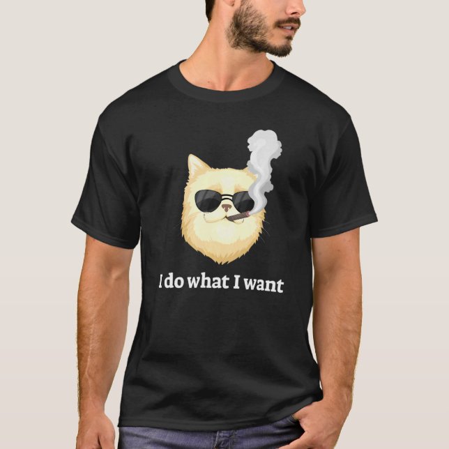 Camiseta Fastidioso Fumar Gato Lo Que Quiero (Anverso)