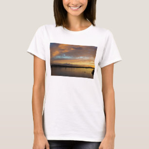 Camiseta FE de Sante, la Argentina