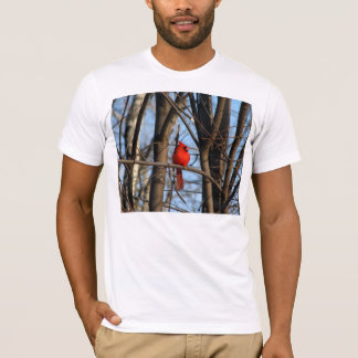 Camiseta Feb_4_2007_Male_F