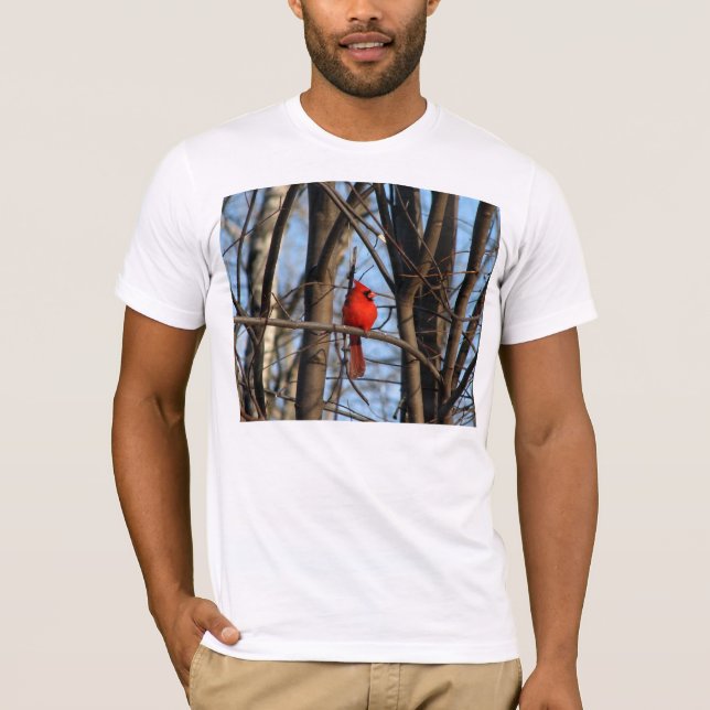 Camiseta Feb_4_2007_Male_F (Anverso)