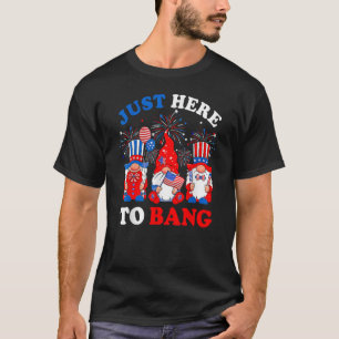 Camiseta Feliz 4 De Julio A Bang Gnomes Patriot