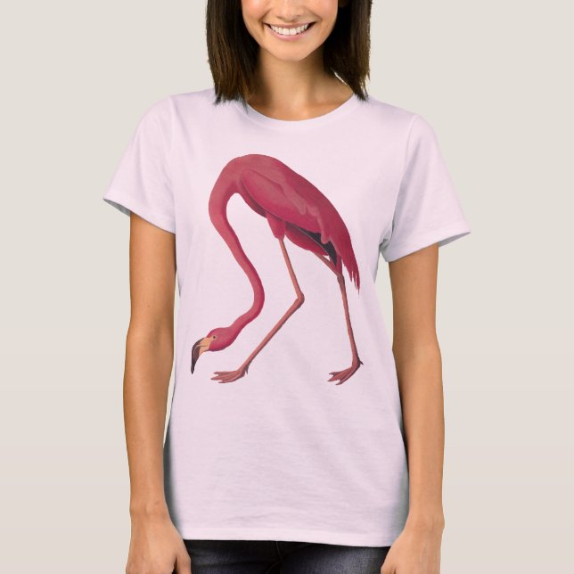 Camiseta femenina de Flamingo Rosa (Anverso)