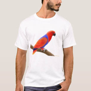 Camiseta femenina del loro de Eclectus