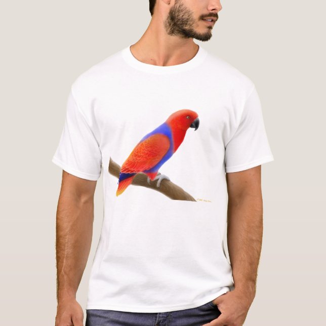 Camiseta femenina del loro de Eclectus (Anverso)