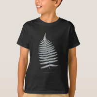 Fern - Gymnogramma Villosa - Efecto de rayos X - 0