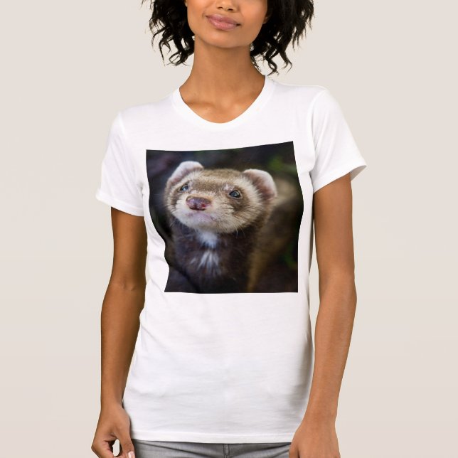 Camiseta Ferret (Anverso)