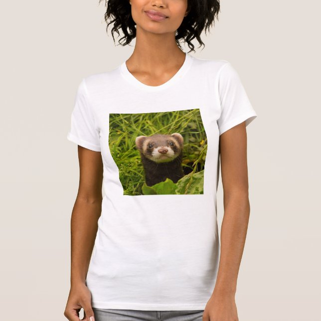 Camiseta Ferrete marrón en la hierba (Anverso)
