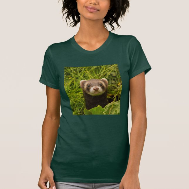 Camiseta Ferrete marrón en la hierba (Anverso)