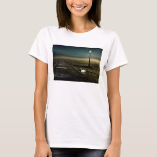 Camiseta Ferrocarril 2013
