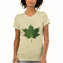 FEUILLE D'ÉRABLE - COCCINELLE