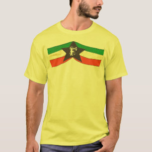 CAMISETA FIASCO