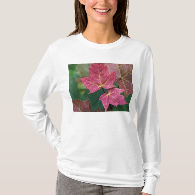 Camiseta fiel a ti (Anverso)