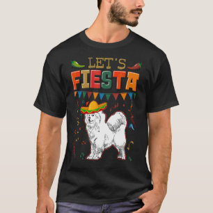 Camiseta Fiesta de Cinco de Mayo en México