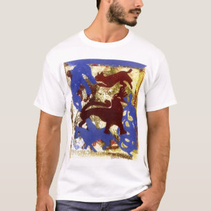 Camiseta Fiesta de gallina