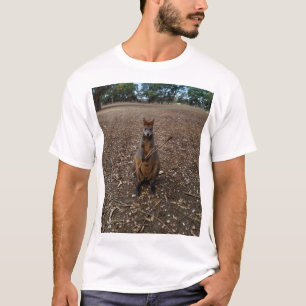 Camiseta "Fiesta de la Naturaleza: Una pausa para el aperit