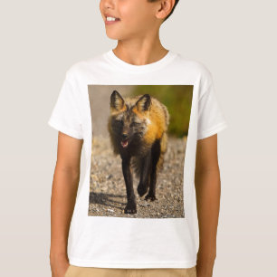 Camiseta Fiesta de la Oficina Forestal de Fox Animal