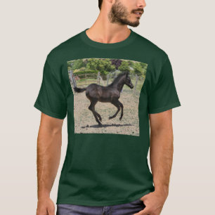 Camiseta Fiesta del potro