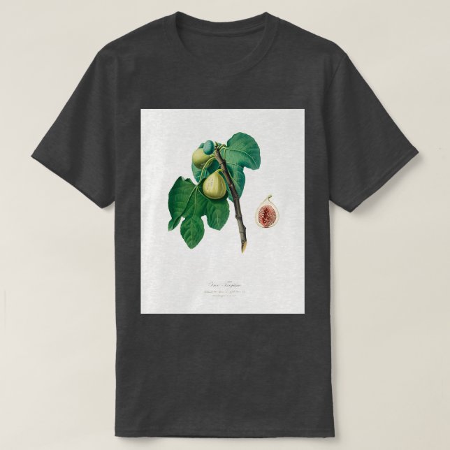 Camiseta Fig Fico Troiano de Pomona Italiana 1817 1839 (Diseño del anverso)