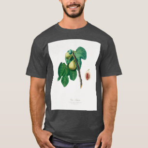Camiseta Fig Fico Troiano de Pomona Italiana 1817 1839