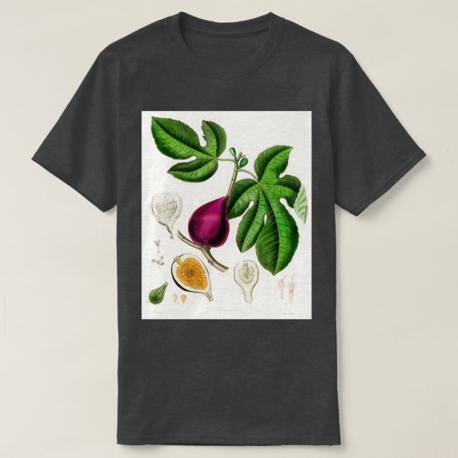 Camiseta Fig Ficus carica ilustracion de la Botánica Médica (Diseño del anverso)