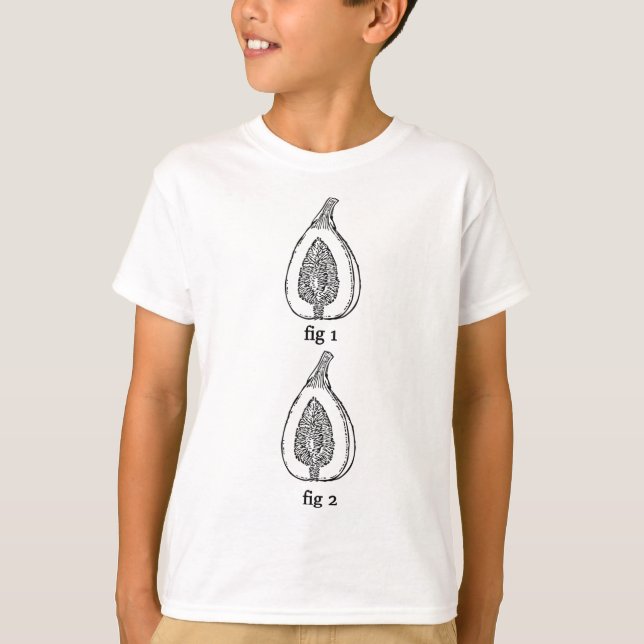 Camiseta Fig Fruit Fig Fung Fig 1 Fig 2 (Anverso)