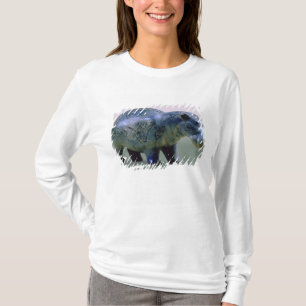 Camiseta Figurilla de un hippopotamus