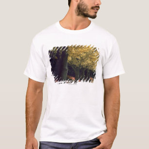 Camiseta Fila de los árboles del Ginkgo
