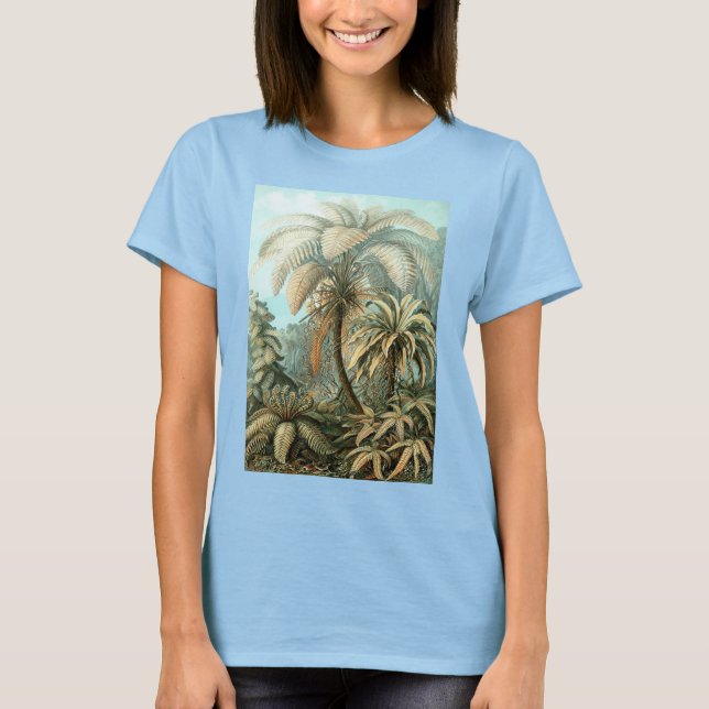 Camiseta Filicinae por Ernst Haeckel, Plantas de helechos a (Anverso)