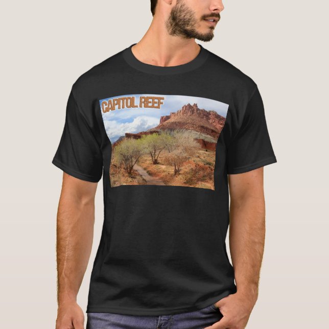 Camiseta Filón del capitolio (Anverso)