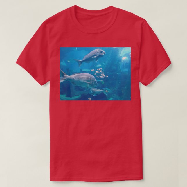Camiseta Fish at the aquarium (Diseño del anverso)