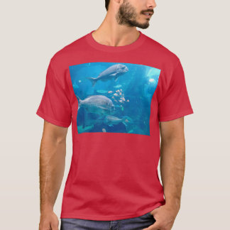 Camiseta Fish at the aquarium