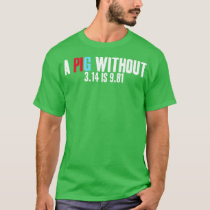 Camiseta Física Matemática Un PIG Sin 314 Es